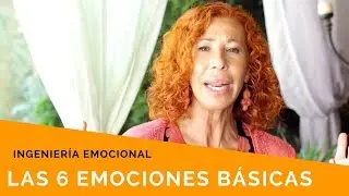 Las 6 emociones básicas, ingeniería emocional con Arancha Merino