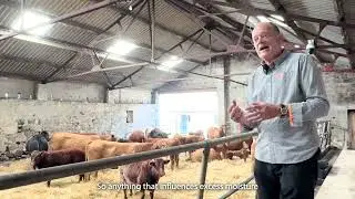 Strathspey Monitor Farm: Ventilation in Sheds