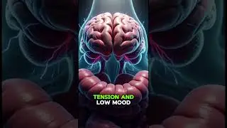 Your Gut Is Hijacking Your Emotions &mdash; And You Don&rsquo;t Realize It