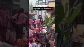 Ganesh Visarjan Today Garodiya #garodiya #ganeshvisarjan2025