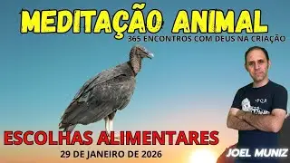 ESCOLHAS ALIMETARES - 29 DE JANEIRO DE 2026 - MEDITA&Ccedil;&Atilde;O ANIMAL