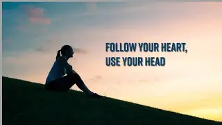 Instinct vs. Logic: Finding the Right Balance in Life Decisions