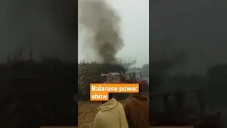Balarose tractors pulling trolley 4312