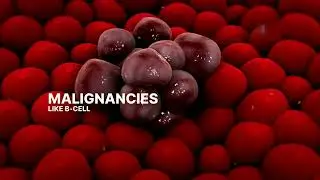 @delveinsightbusinessresearch  Breaks Down the Latest Progress in CAR-T Treatments for B-Cell