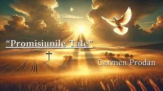 PROMISIUNILE TALE - Carmen Prodan - Vol. 11 NOU 2025