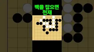 바둑 묘수 사활 - 기똥차게 천재적인 묘수를 찾아보세요. #바둑 #사활 #바둑강좌