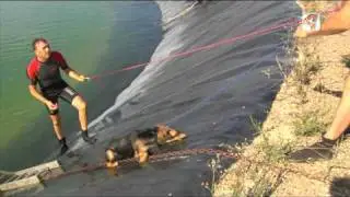 BOMBEROS ALMUDÉVAR- Voluntarios de fuego