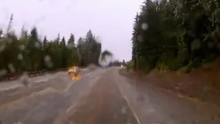 Loaded: Freezing Rain-Low Visibility!