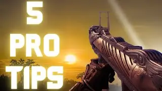 DESTINY 2: 5 QUICK FIGHTING LION TIPS