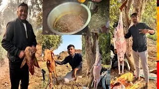 Cricket winning Party #bakra  #youtubevideo #food #minivlog #shortsvideo #shortsviral #shortsviral