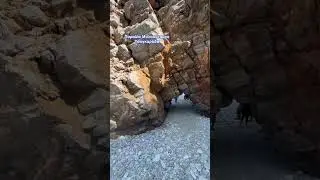 Greece. Pelion. Milopotamos beach. &Epsilon;&lambda;&lambda;ά&delta;&alpha;. &Pi;&eta;&lambda;&iota;&omicron;. &Tau;&sigma;&alpha;&gamma;&kappa;&alpha;&rho;ά&delta;&alpha;. &Pi;&alpha;&rho;&alpha;&lambda;ί&alpha; &Mu;&upsilon;&lambda;&omicron;&pi;&omicron;&tau;&alpha;&mu;&omicron;&upsilon; 🇬🇷🇬🇷🇬🇷