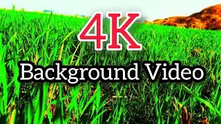 Stunning 4K Background Video | Beautiful Nature & Scenic Views#4kviral 