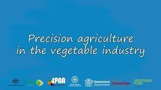Precision agriculture in the vegetable industry