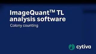 ImageQuant&trade; TL analysis software - Colony counting