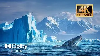 JAW-DROPPING ANTARCTICA 4K Footage | HDR Dolby Vision | 60FPS Video (4K / 8K TV)