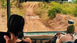 Inside the Park: A Real Safari Tour | Wildlife Encounter