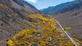 Bishop Creek, South Fork Canyon, California