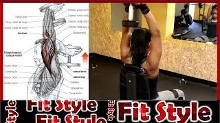 Entrenamiento de Tríceps sólo con Mancuernas, Triceps training only with Dumbbells,