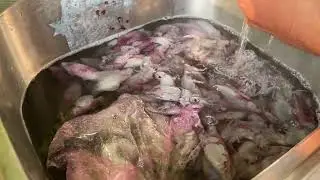 ដើរលេងកំពត ២យប់៣ថ្ងៃ Part 2 នៅដូងទេ​ នឹងនៅដំបូង