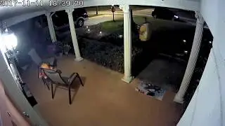 How Amazon Treats the delicate (Wireless Endoscope THZY HD 10m WiFi Borescope Inspection Camera)