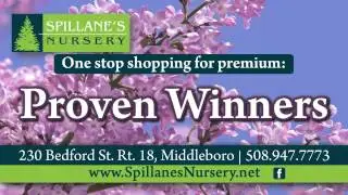 Spillane's Nursery and Garden Center On The Sprout Digital Network