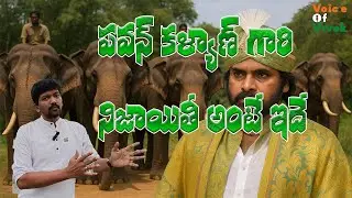 నిజాయితీతో పని చేస్తే ఫలితం ఇదే | Operation Kumki Success | PawanKalyan | #Trending #ViralVideo