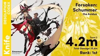 RANK 1st Codex: Schummer with Amemori 4.2m | Alchemy Star