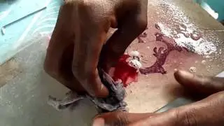 V2O tattoo (Guyane fran&ccedil;aise a st laurent du maroni) son (Kalash - Neo)