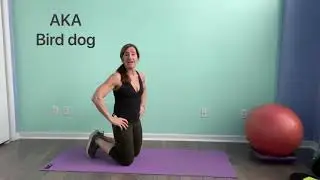Quadruped opposite Arm & Leg raise- AKA Bird dog