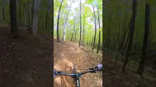 This Techy Flow Trail Is PURE MTB Bliss #MTB #Singletrack #Tech #Flow #ytshorts