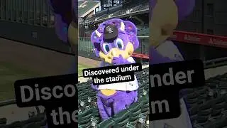 The incredible true story behind the Colorado Rockies mascot, Dinger. #mlb #baseball