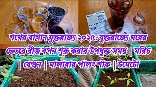 Hobbyist garden UK 2025: Perfect time to start seeds sowing indoors in the UK | Peppers | Eggplant