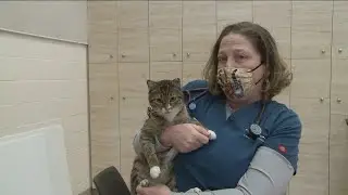 Keep pets and children safe from the cold this weekend