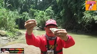 Mancing ikan di sungai umpan yuyu