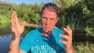Plant Based Zinc is Much Better than Synthetic Version
