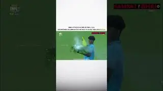 Bees Attack Players In TNPL🐝🐝;Groundsmen Use Innovative Method To Scare Them Away😂