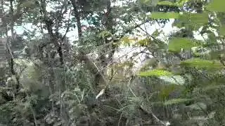 Gorakh Gad