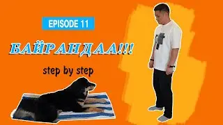 Нохой сургах арга #11 | Байрандаа команд | Mongolian Bankhar Dog Training |