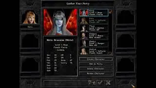 Wizardry 8 - 02 - RPG - role playing game - gameplay