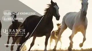 United Country Real Estate #1 Leader in Land Sales