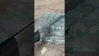 The 