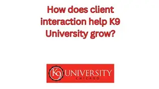 How Client Feedback Helps K9 University Grow | K9 University Chicago