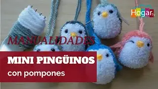 Como hacer un pequeño pingüino con pompones - HogarTv producido por Juan Gonzalo Angel Restrepo