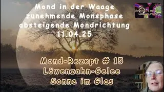 Rezept # 15 - L&ouml;wenzahn-Gelee - die Sonne im Glas