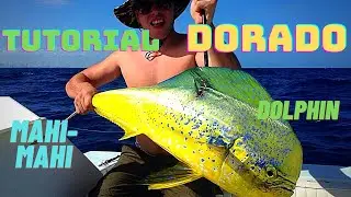 Como Pescar Dorado o Mahi Mahi - Tutorial #dolphin