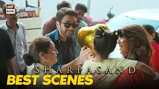 Couple Cutest Moments | SharPasand | Hareem Farooq | Affan Waheed | ARY Digital Drama