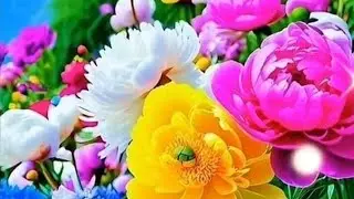 Gardening with Anupreet 💐  is live