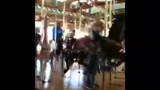 The Carousel