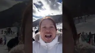 Ошибка в расчете стандартного пробега и фактической стоимости, которая обходится в тысячи долларо...