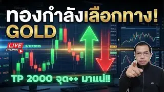 Live Trade Gold มาเก็บ TP 2000++ กันครับ 3/12/25